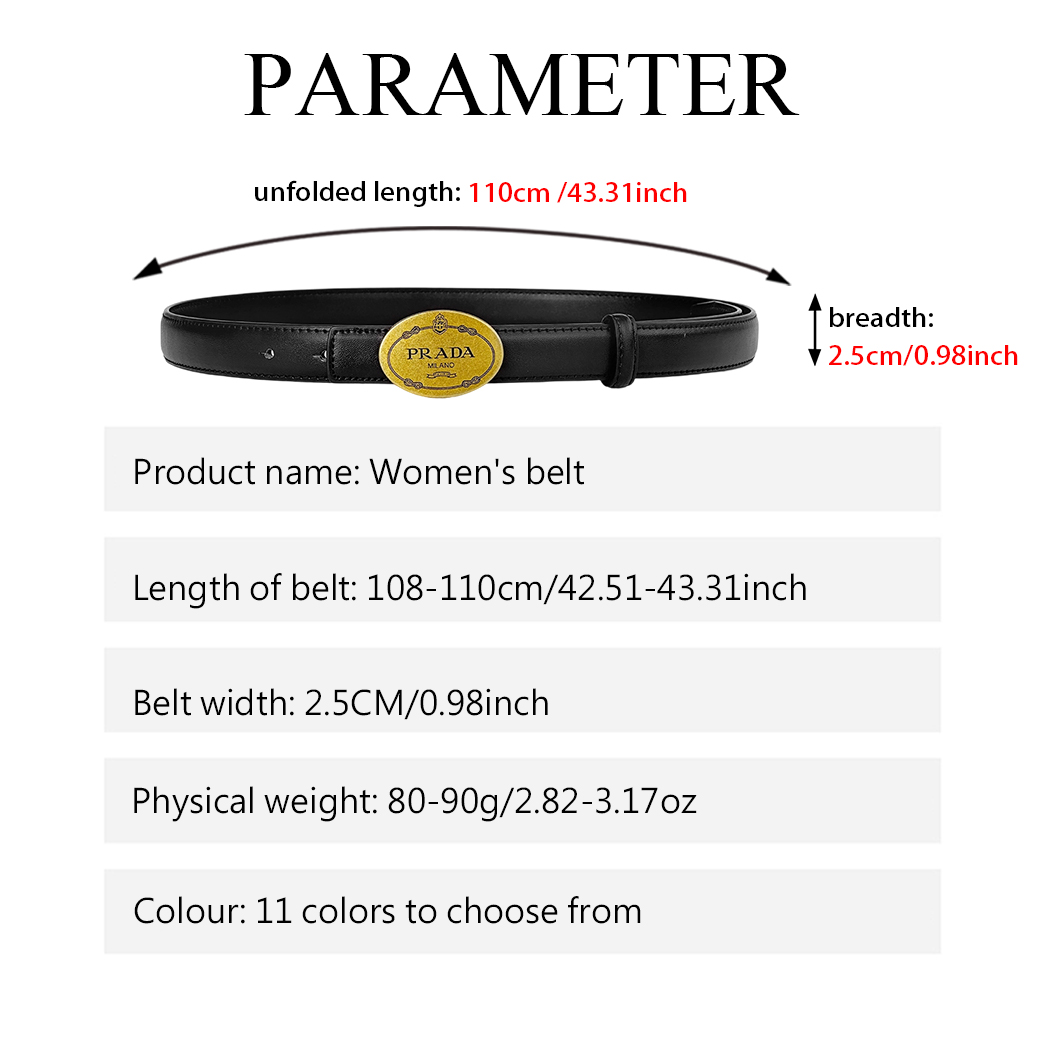 CCbelt Women's Antique Gold Oval Plaque Buckle Skinny Belt 2.5 Inches